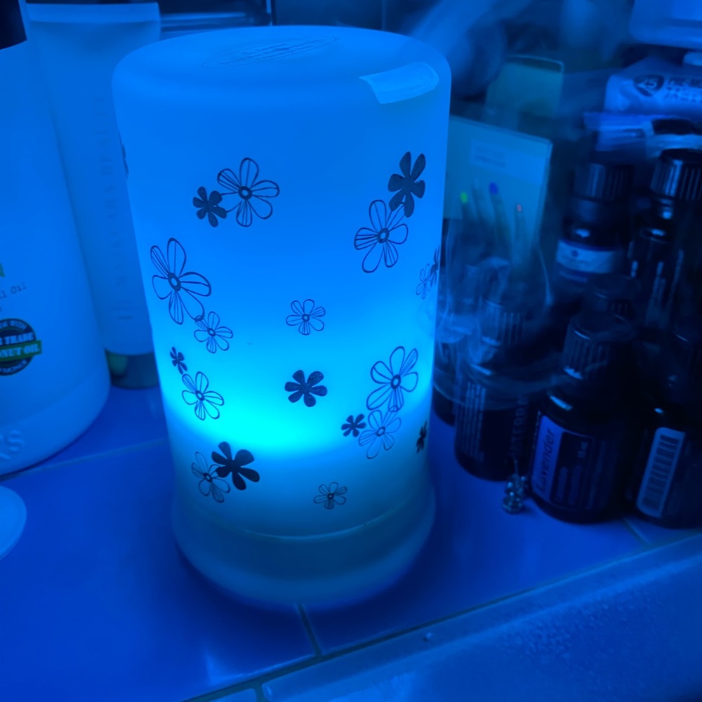 Diffuser - Picture 7 of 8